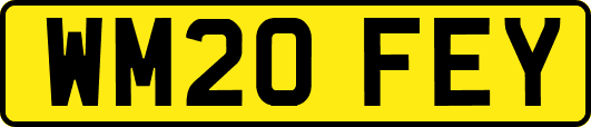 WM20FEY