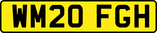 WM20FGH