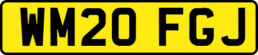 WM20FGJ