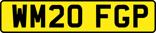 WM20FGP
