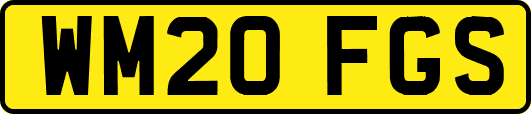 WM20FGS
