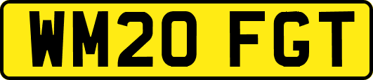 WM20FGT