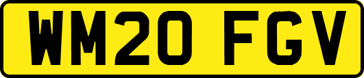 WM20FGV