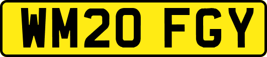 WM20FGY
