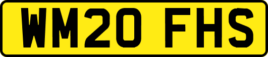 WM20FHS