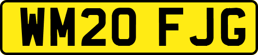 WM20FJG