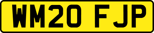 WM20FJP
