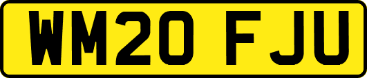 WM20FJU