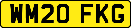 WM20FKG