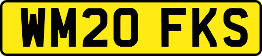 WM20FKS