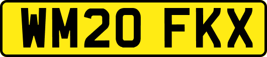 WM20FKX