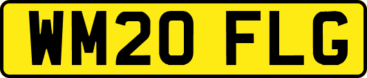 WM20FLG