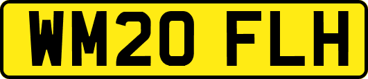 WM20FLH