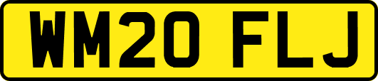 WM20FLJ