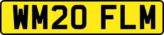WM20FLM