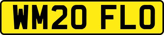 WM20FLO