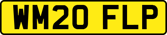 WM20FLP