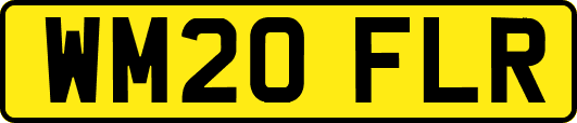 WM20FLR