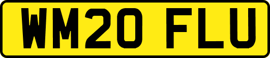 WM20FLU