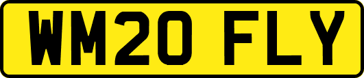 WM20FLY