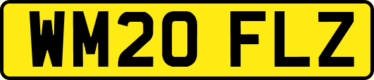 WM20FLZ