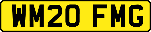 WM20FMG