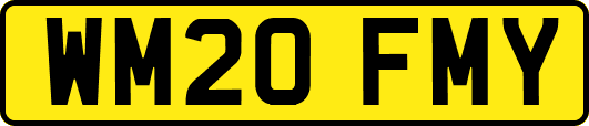 WM20FMY