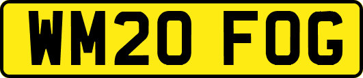 WM20FOG