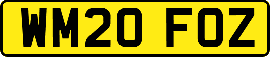 WM20FOZ