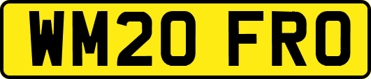 WM20FRO