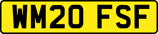 WM20FSF
