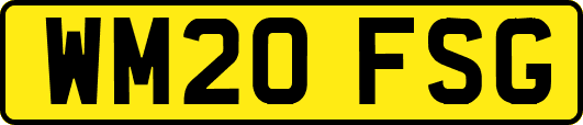 WM20FSG