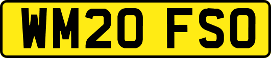 WM20FSO