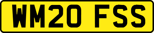 WM20FSS