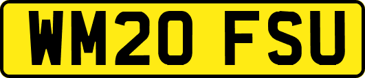 WM20FSU