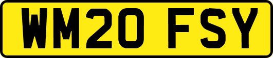 WM20FSY