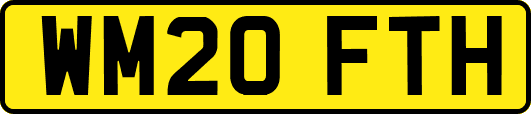 WM20FTH