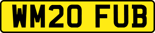 WM20FUB
