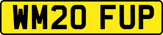 WM20FUP