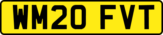 WM20FVT