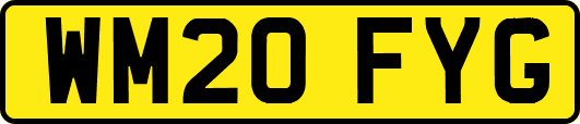 WM20FYG
