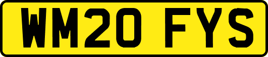 WM20FYS