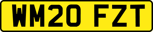 WM20FZT