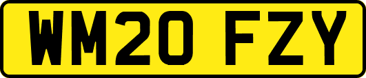 WM20FZY