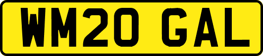 WM20GAL