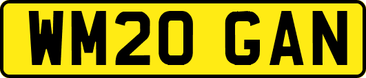 WM20GAN