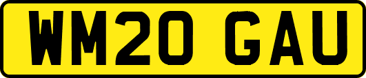 WM20GAU