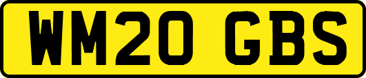 WM20GBS