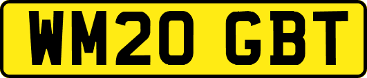WM20GBT