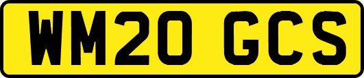 WM20GCS